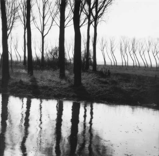 Lynn Geesaman - Damme, Belgium