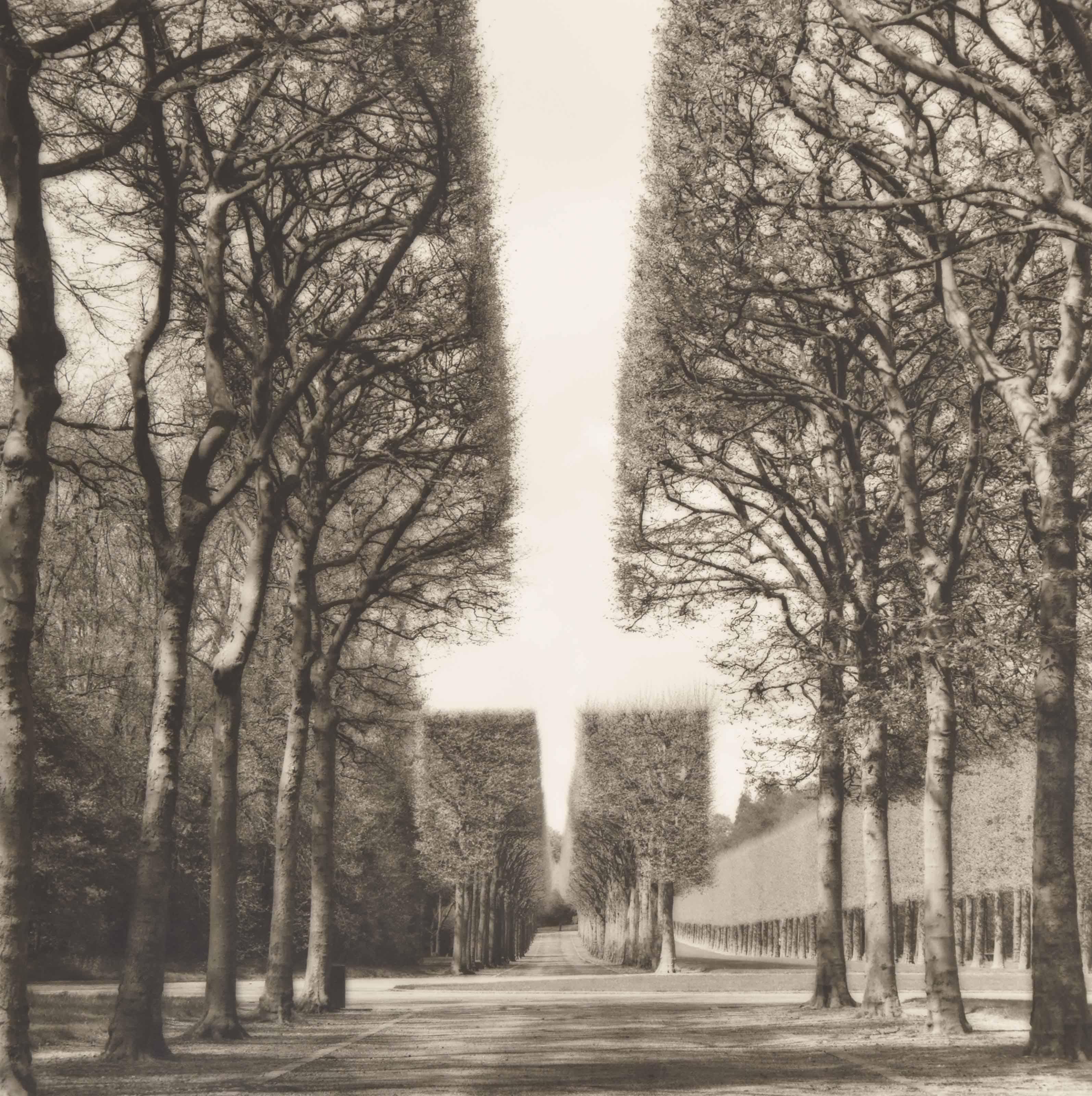 Lynn Geesaman - Parc de Sceaux, France, 1999