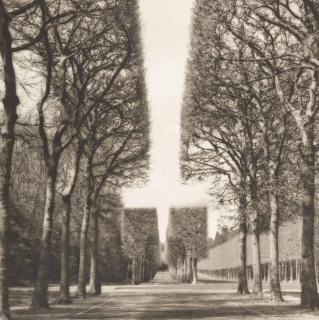 Lynn Geesaman - Parc de Sceaux, France, 1999