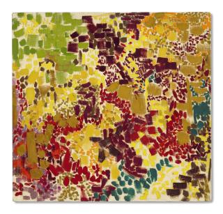 Lynne Drexler - Daffodil Gloucester