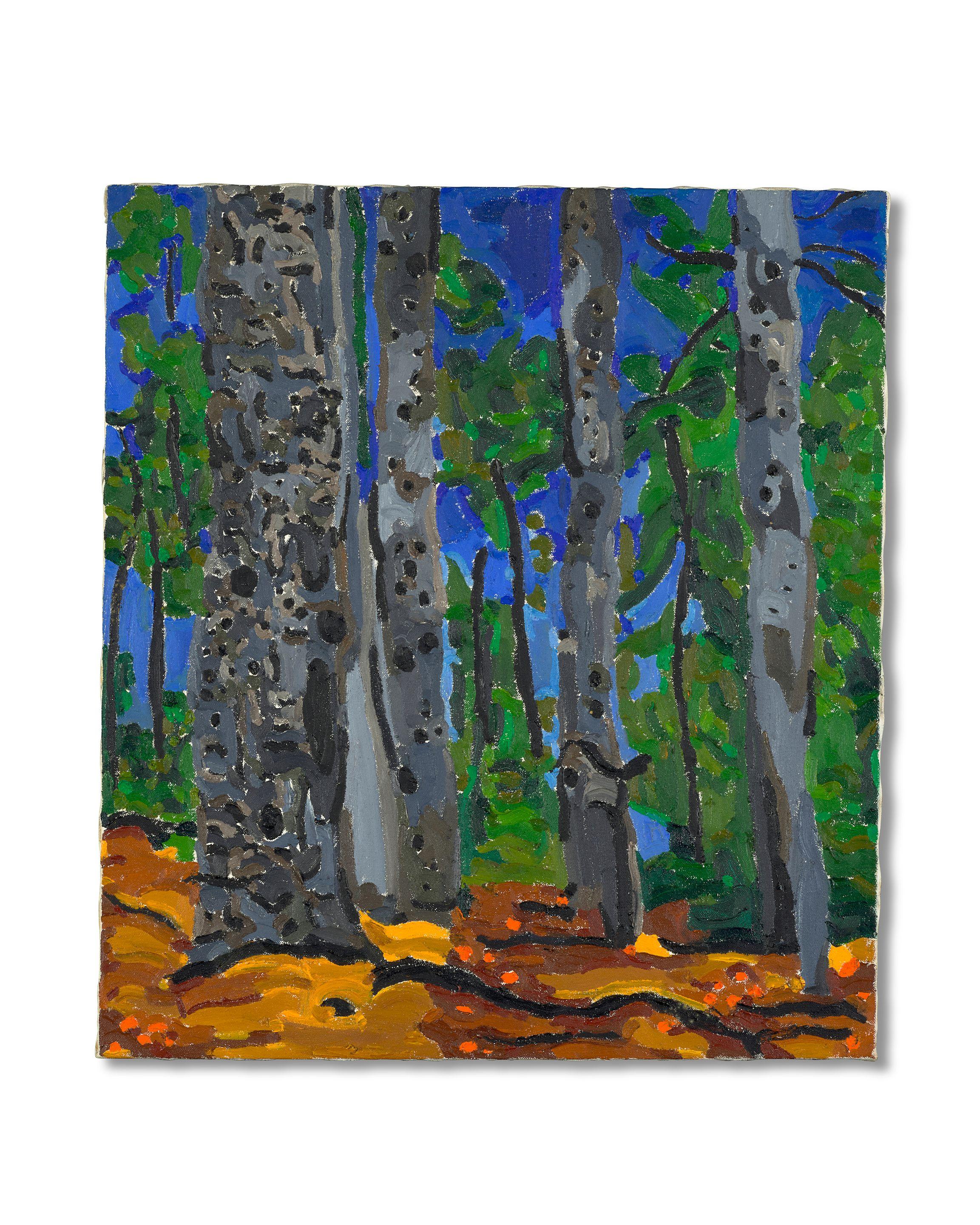 Lynne Drexler - Forrest Vespers