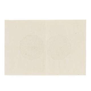 Lynne Woods Turner - Untitled (#900), 2009