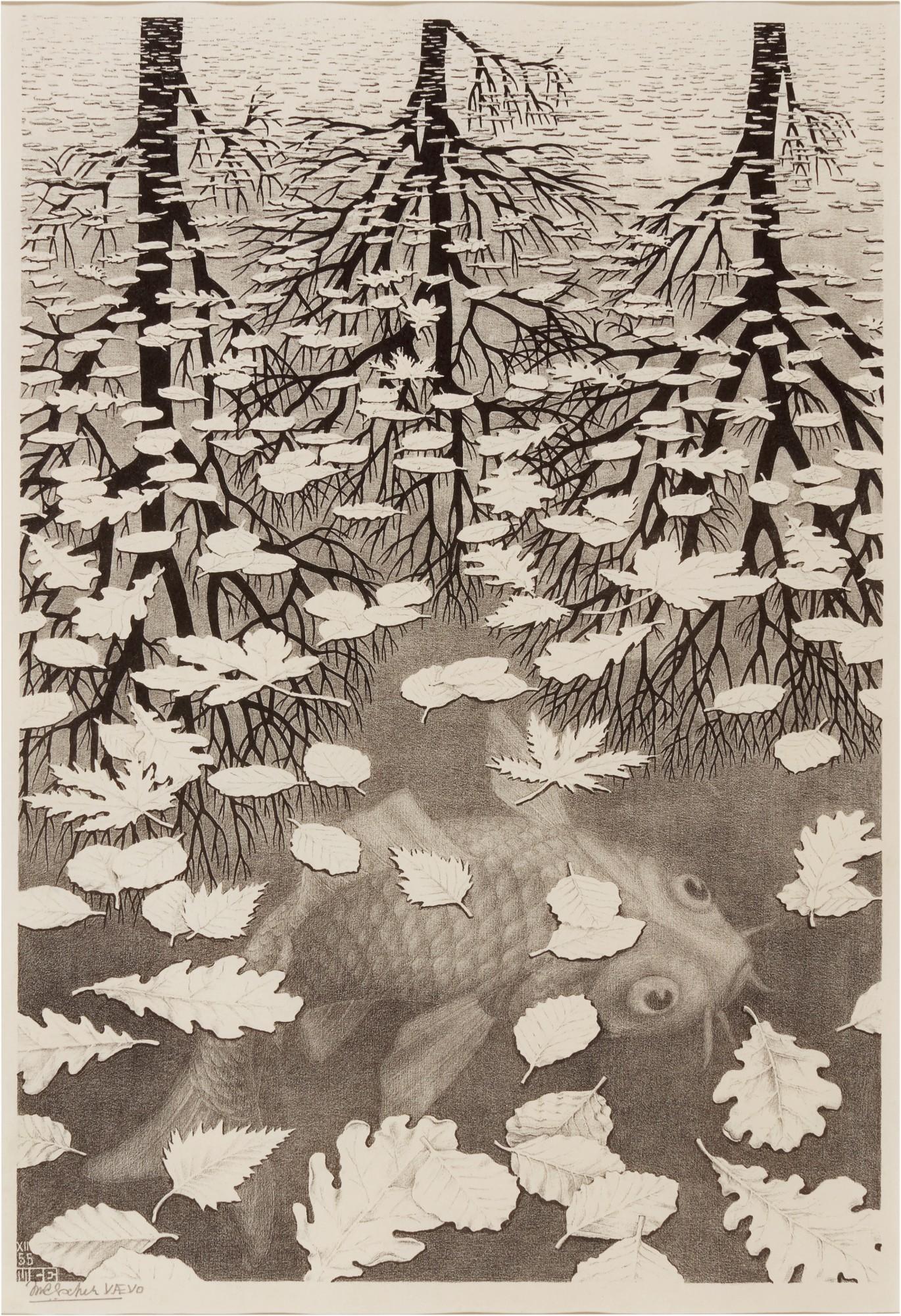 M. C. Escher - Drie Werelden (Three Worlds) (Bool, Kirst, Locher, Weirda 405)