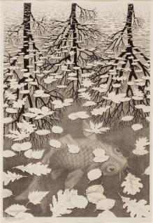 M. C. Escher - Drie Werelden (Three Worlds) (Bool, Kirst, Locher, Weirda 405)