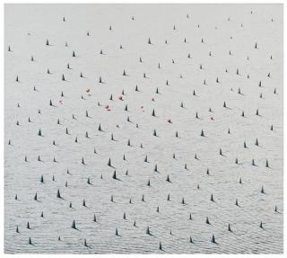 M. Irfan - Flexible Movement