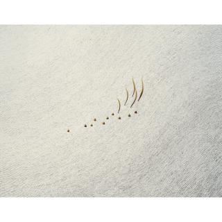 M Irfan - Rolling Stones