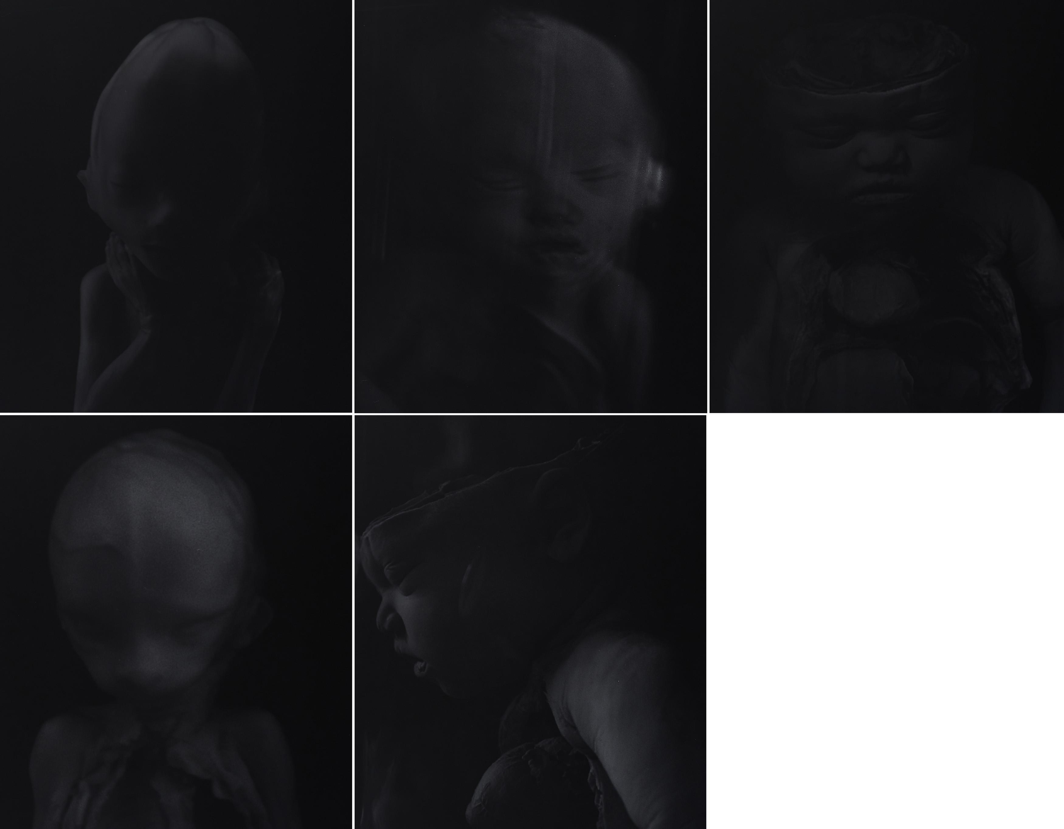 M. Kardinal - tabula rasa (5-teiliges Werk)