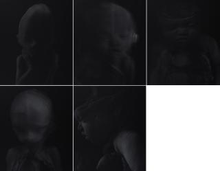 M. Kardinal - tabula rasa (5-teiliges Werk)