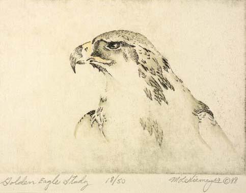 M.L. Niemeyer - Golden Eagle Study