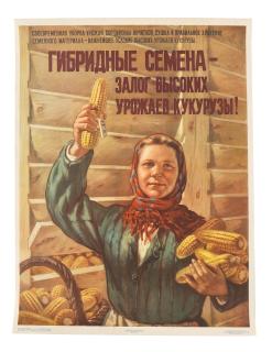 M.M. Soloviev - Hybrid seeds.