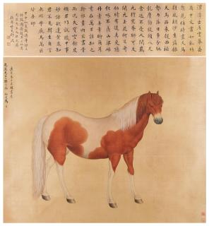 Ma Jin - An imperial Horse