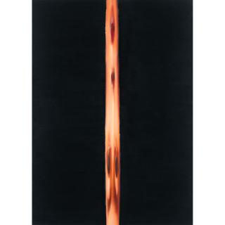 Ma Liuming - Face Series