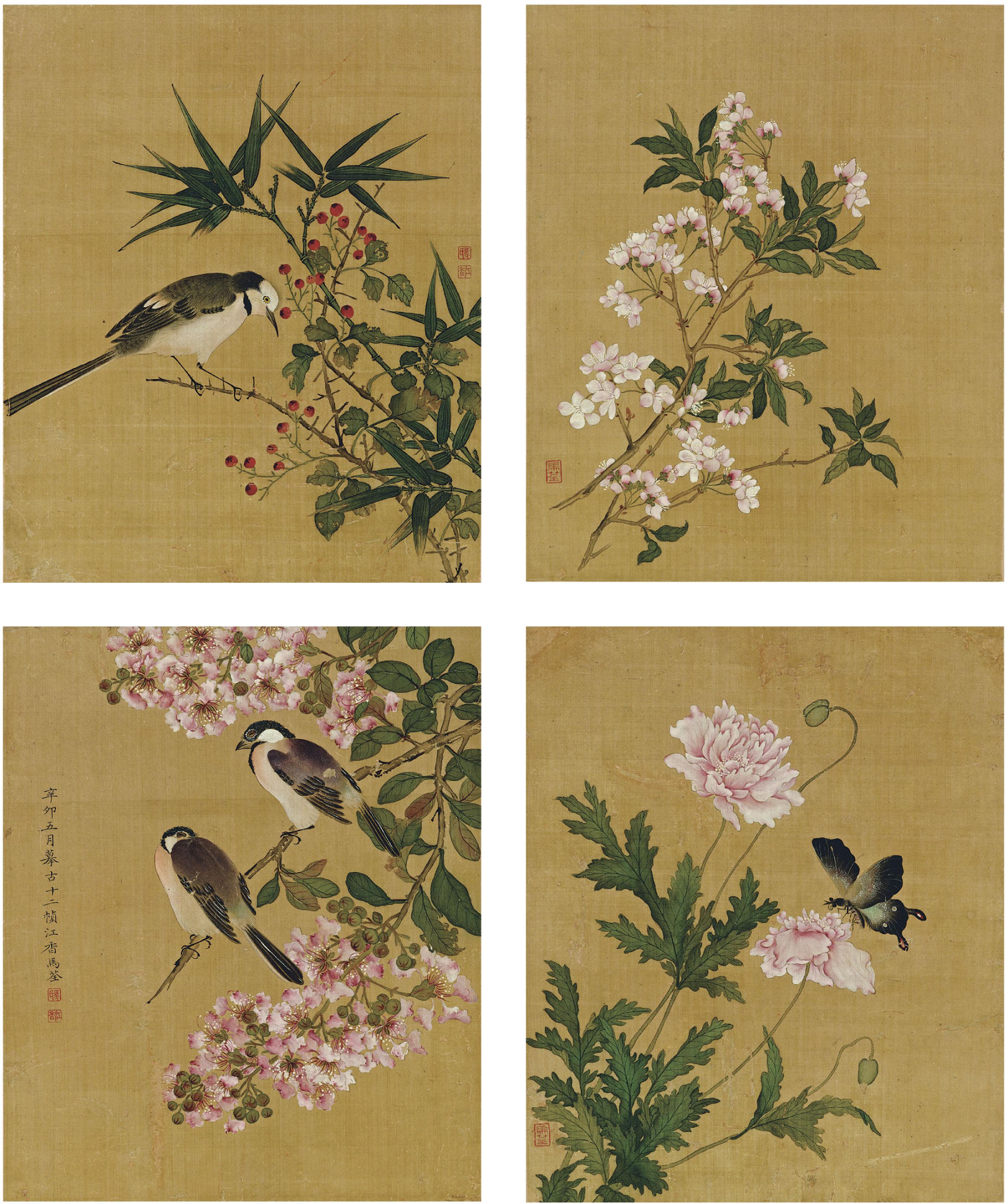 Ma Quan - Birds, Insects and Plants