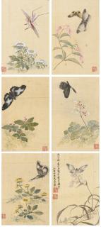Ma Quan - Flower And Insects