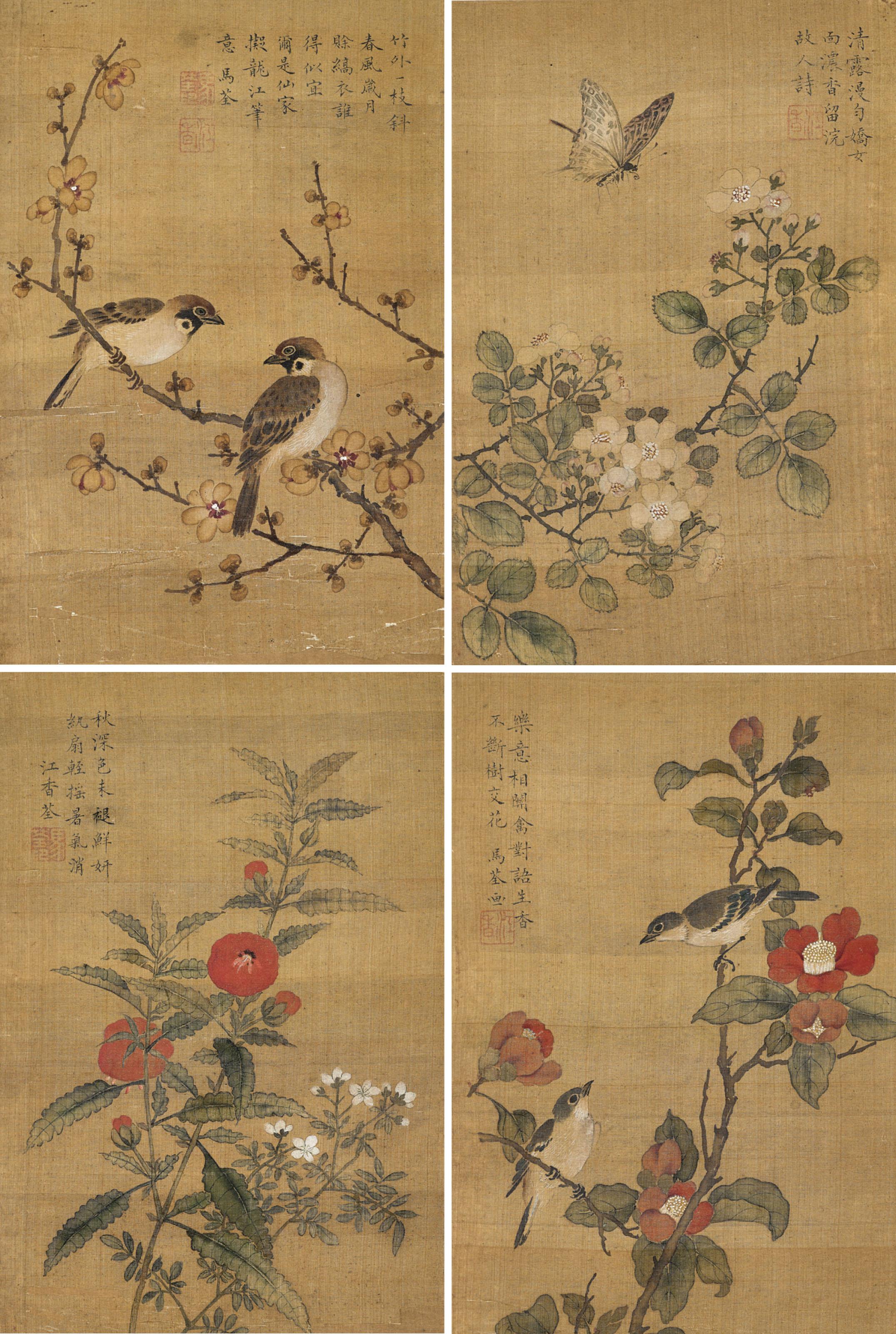 Ma Quan - Flower, Bird and Insect