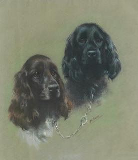 Mabel Gear - Cockers