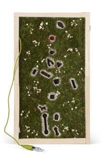 Madeleine Lill - Buried Nostalgia