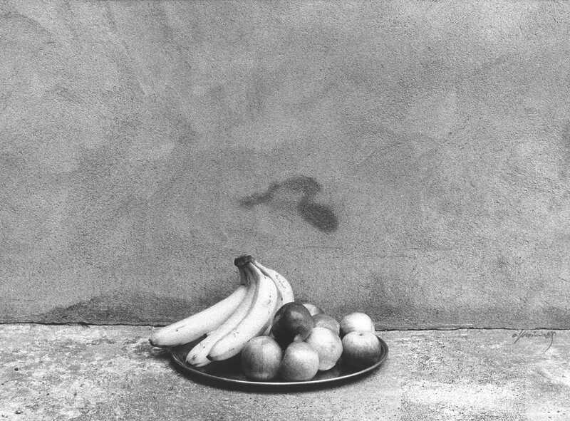 Efraim Habermann - Still Life