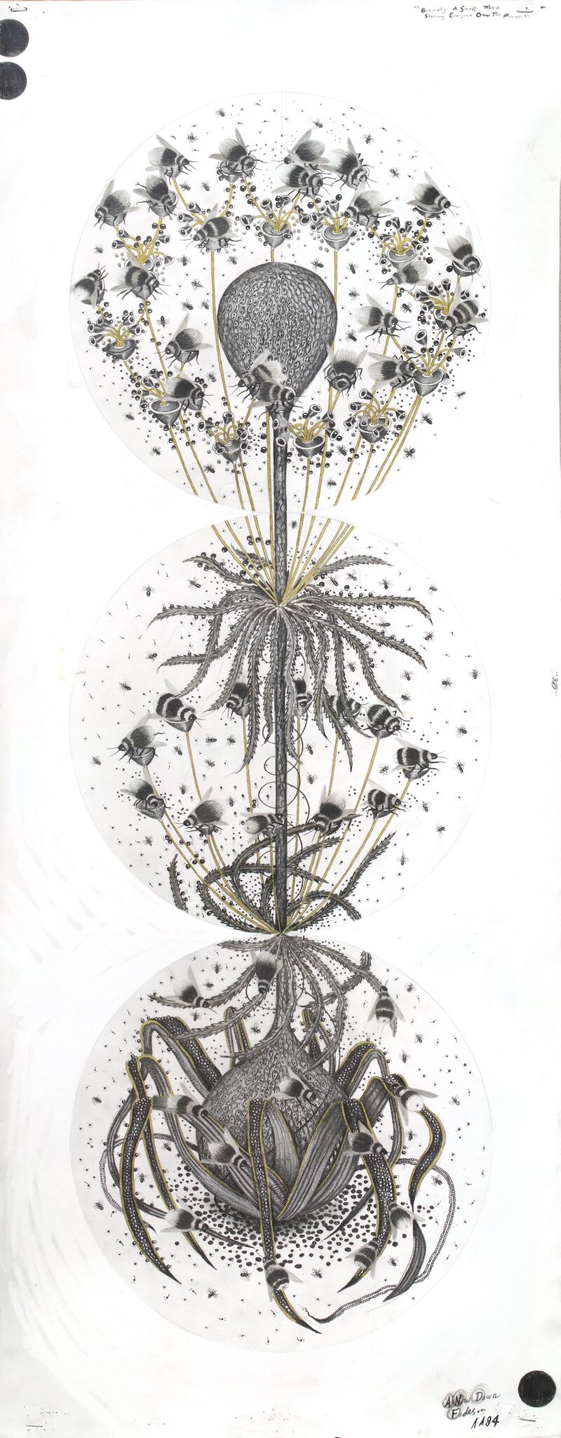 Hipkiss, Larva (2), 2019, graphite, silver ink, metal leaf on Fabriano 4 paper, 102 x 40 cm