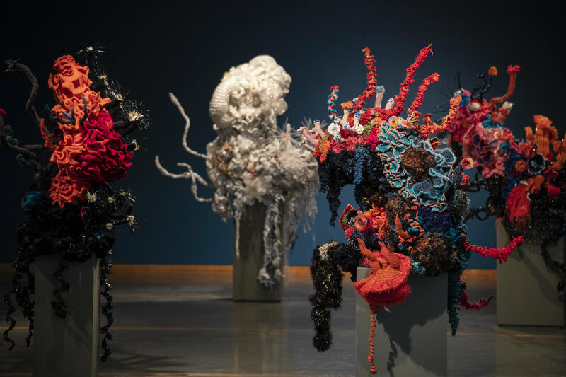 Margaret and Christine Wertheim and the Institute For Figuring, Coral Forest at Lehigh University Arts Galleries