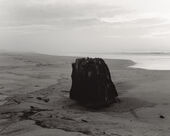 Robert Adams, The Sea Beach, 2016 gelatin silver print.