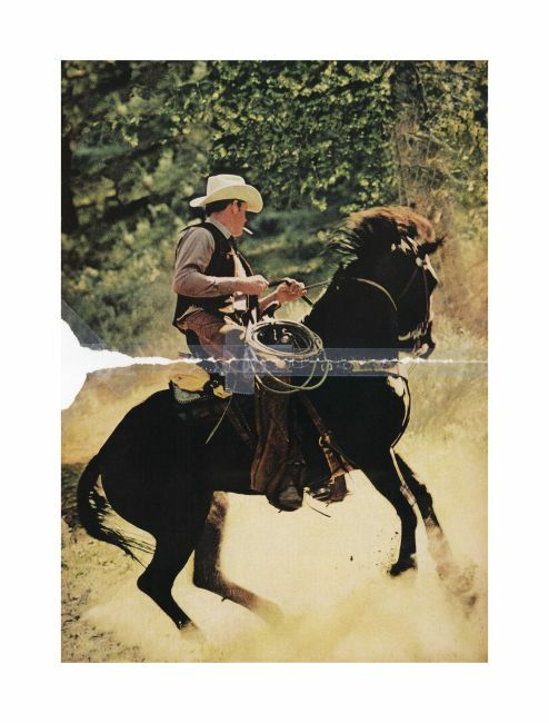 Richard Prince Untitled (Cowboy), 2016 C-print in two parts Courtesy the Artist