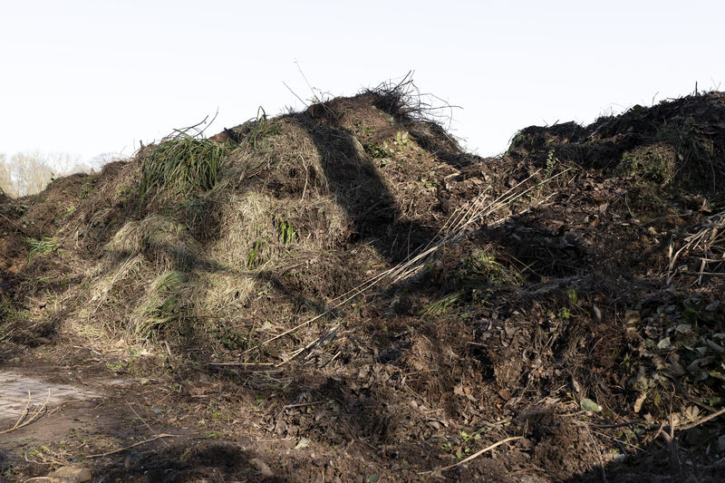 Compost heap (Karlsaue), Exterior view, Kassel 2022