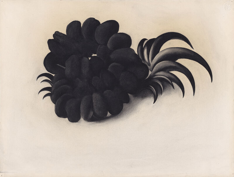 Georgia O’Keeffe. Eagle Claw and Bean Necklace, 1934. Charcoal on paper.