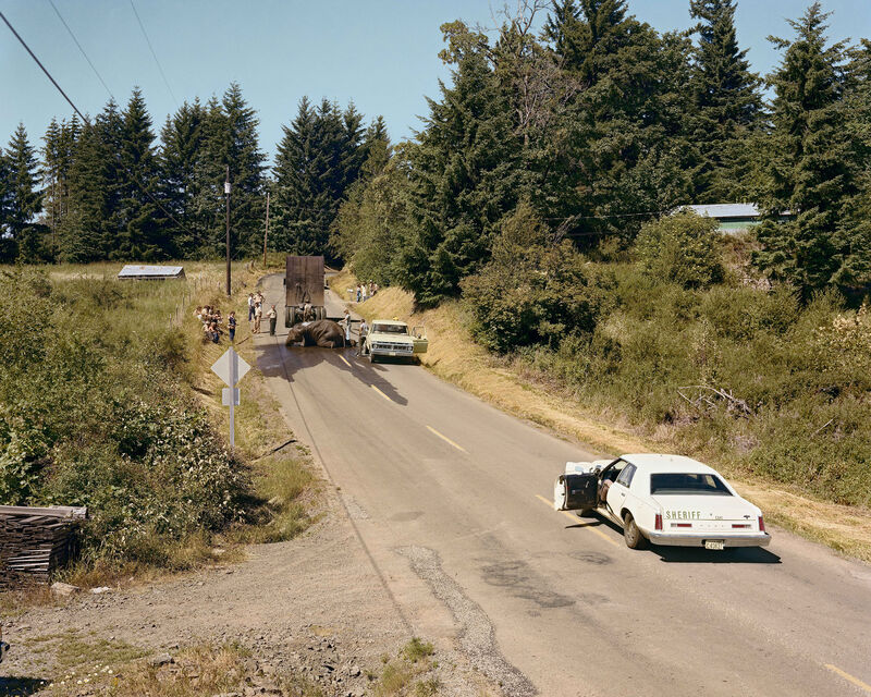 Joel Sternfeld, Exhausted Renegade Elephant, Woodland, Washington, aus der Serie: American Prospects, Juni 1979