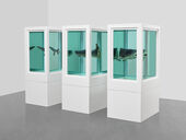 Damien Hirst, Myth Explored, Explained, Exploded, 1993