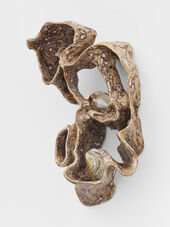 Jes Fan, Cross Section (Right Leg Muscle II), 2023