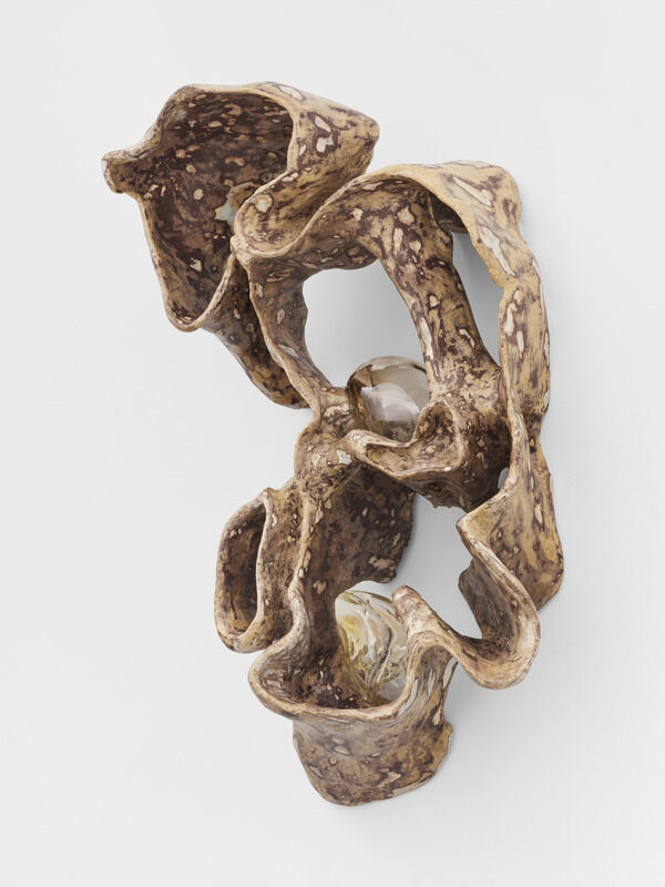 Jes Fan, Cross Section (Right Leg Muscle II), 2023