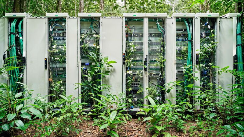 Emidio Battipaglia, Synaptic Dialogues 3, 2024