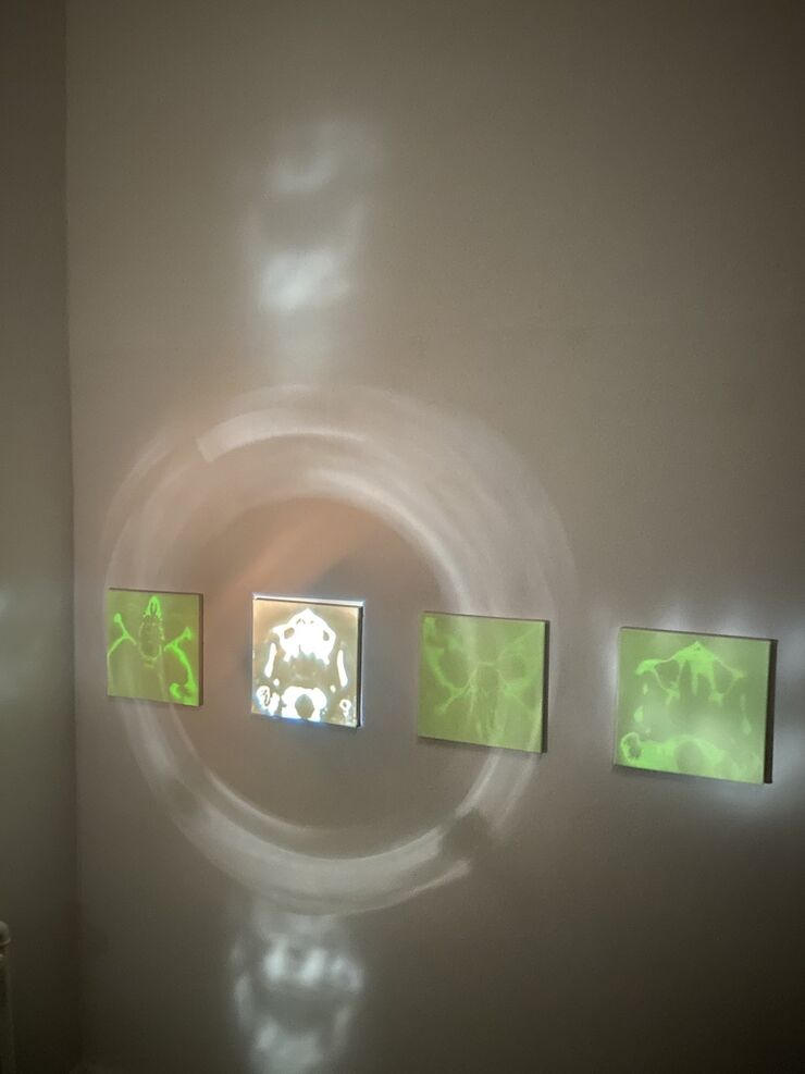 Silke Bartsch, Aufleuchten, Größe variabel, Version 2/ 2025