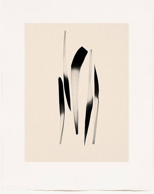 Antoine Khol - Untitled 2305