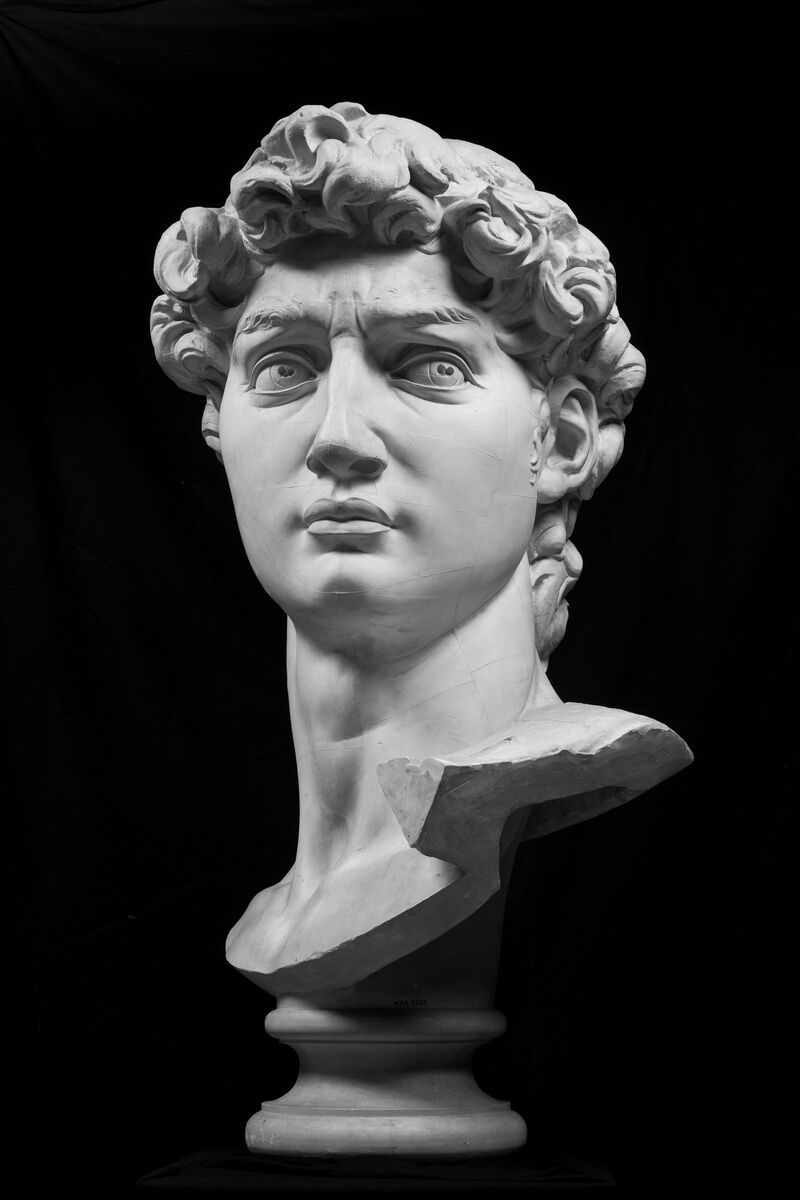 Plaster cast after Michelangelo Buonarroti, Head of David. Original 1501-1503, cast 1890