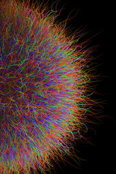 Christoph Pauschenwein, Planet 70