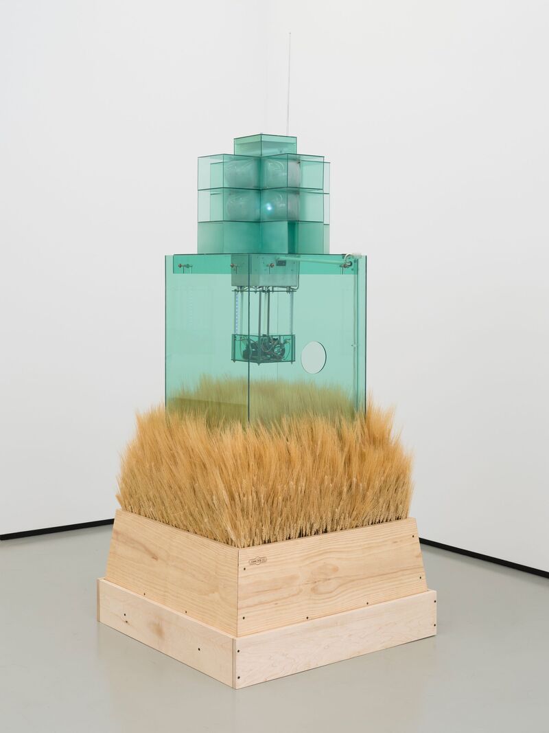 Carl Cheng, Early Warning System, 1967-2024