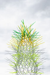 Caroline Laengerer, weed – delicate touch of otherness