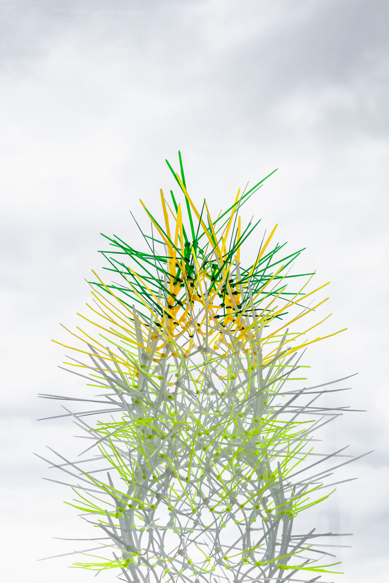 Caroline Laengerer, weed – delicate touch of otherness