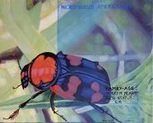 Elvira Flamm, Fading Life XI, 2021, 50 x 40 cm