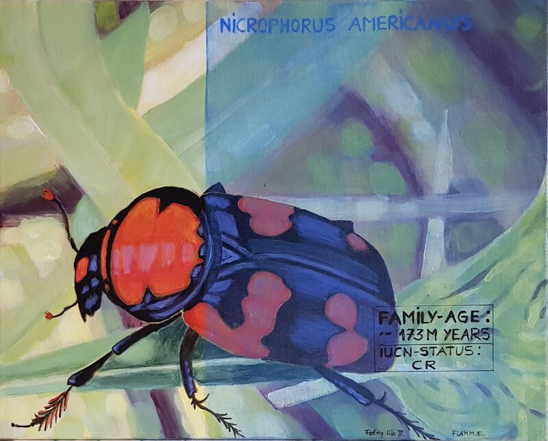 Elvira Flamm, Fading Life XI, 2021, 50 x 40 cm