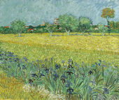 Vincent van Gogh, Field with Irises near Arles, 1888