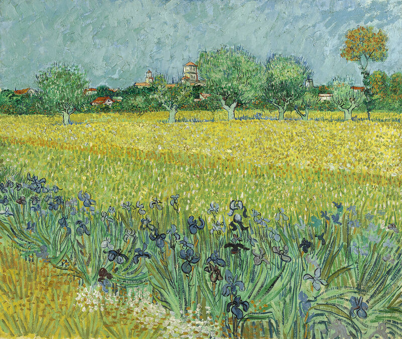 Vincent van Gogh, Field with Irises near Arles, 1888