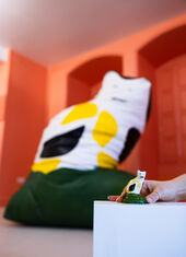 Pippa Hale, Press©TheBowesMuseum_0009