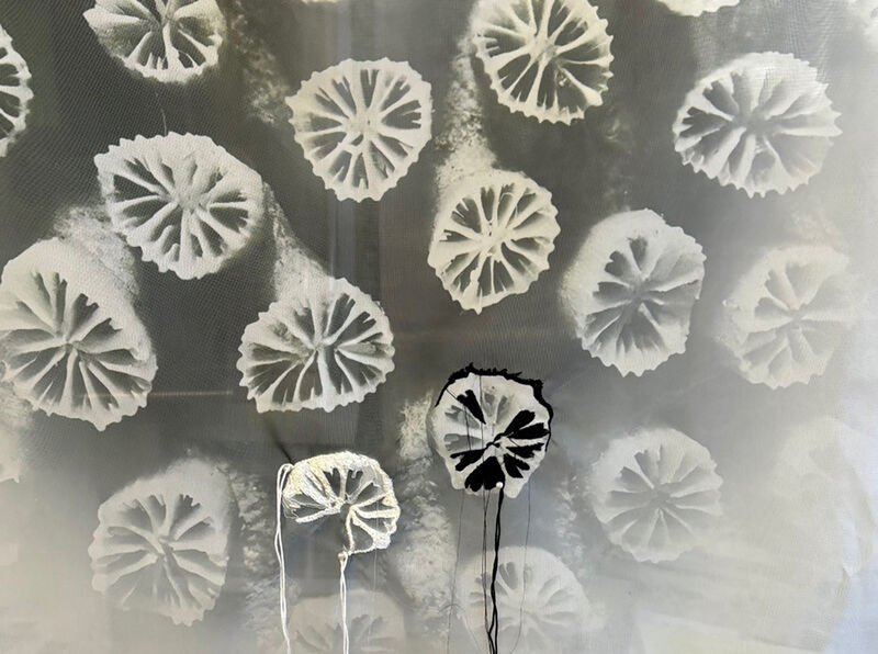 Janet Laurence, The Burnt Sea, 2025