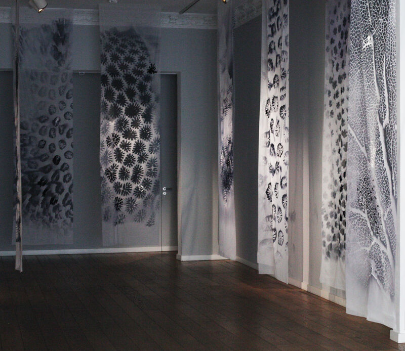 Janet Laurence, The Burnt Sea, 2025, Installationsansichten