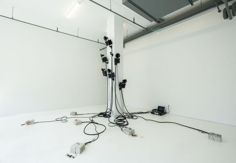 Arboreal Severance by KiefferWoodtli