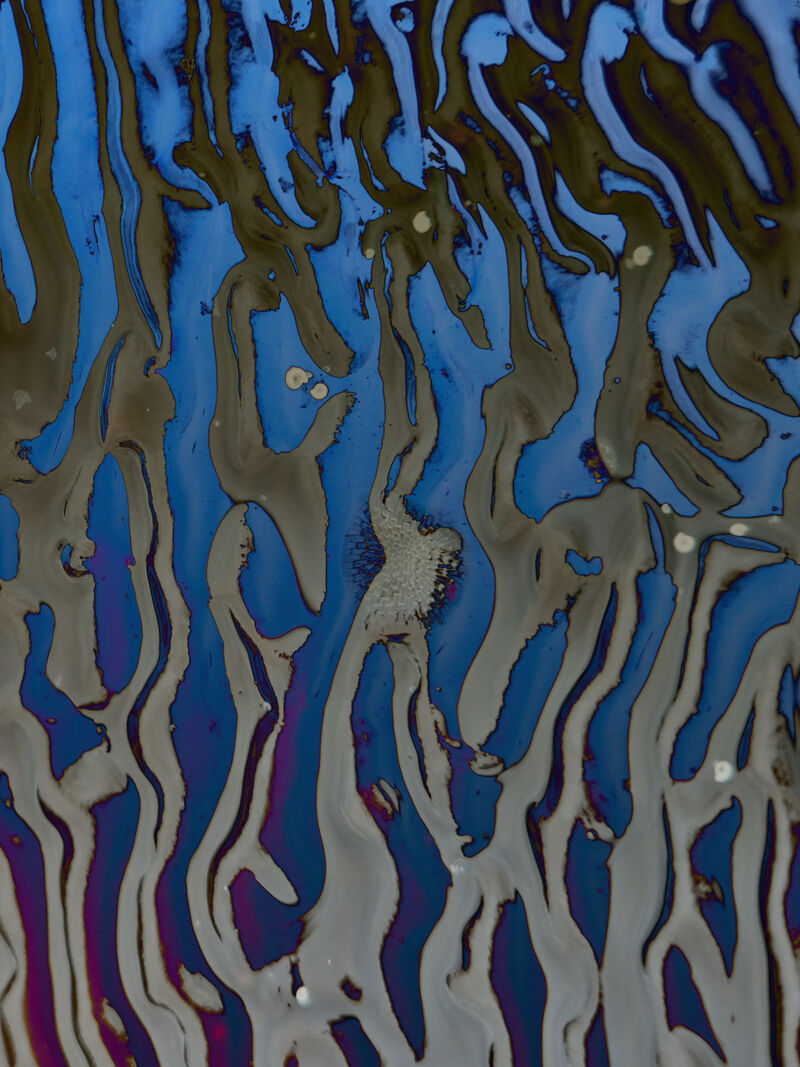 Frieda, El Misterio del Fin del Mundo, 2025