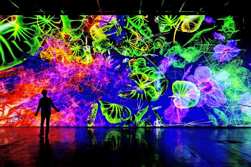 Miguel Chevalier, Meta-Nature AI, seit 2023